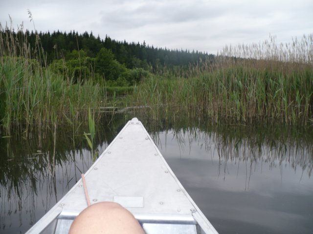zweden200738.jpg