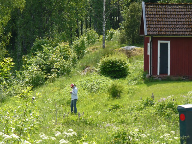 zweden200940.jpg