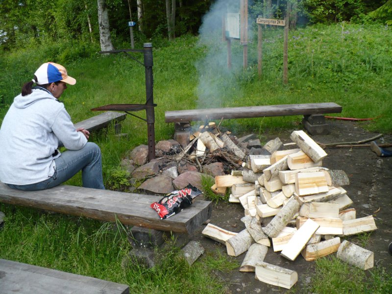 zweden200958.jpg