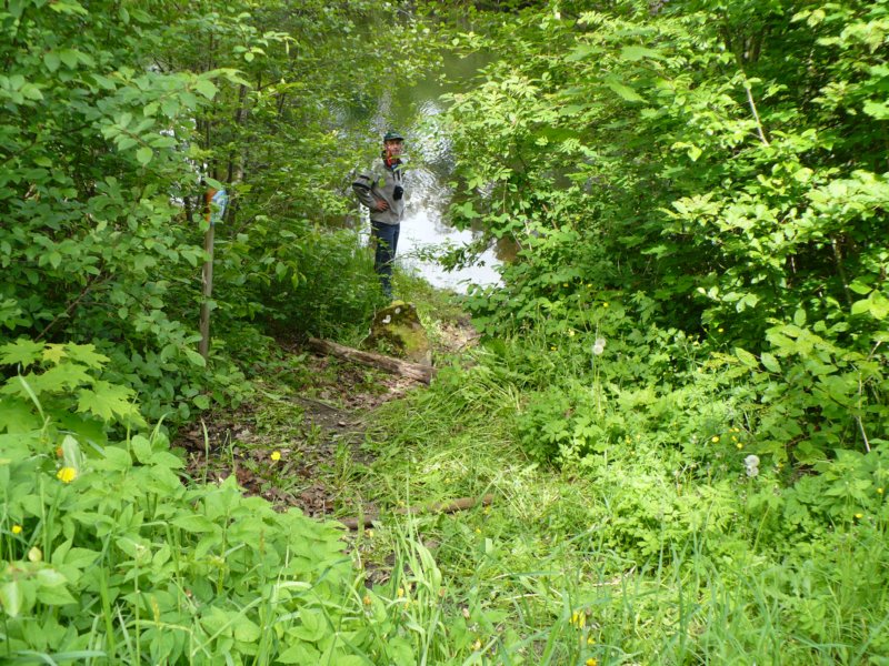 zweden200970.jpg